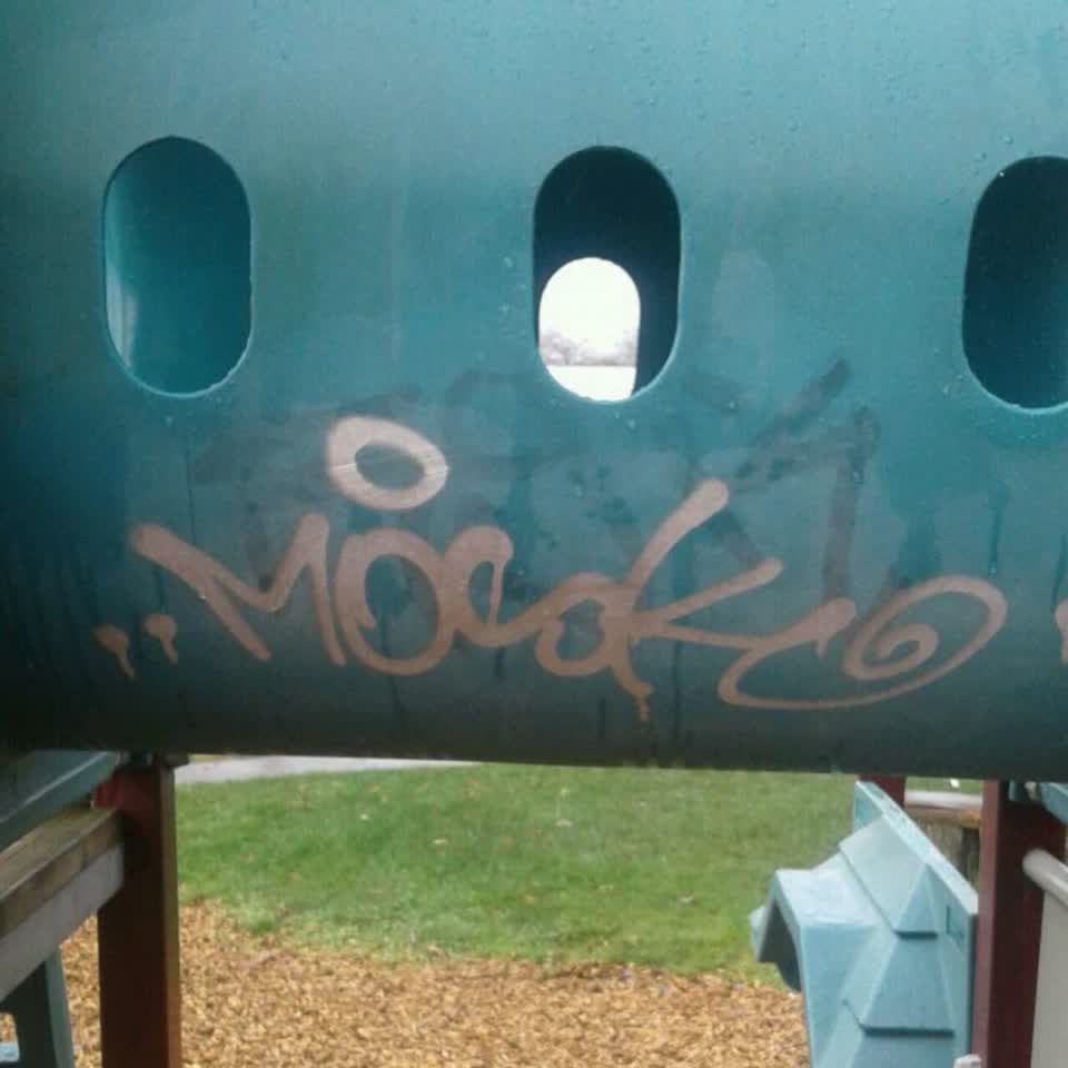 The photograph attached to this graffiti report
