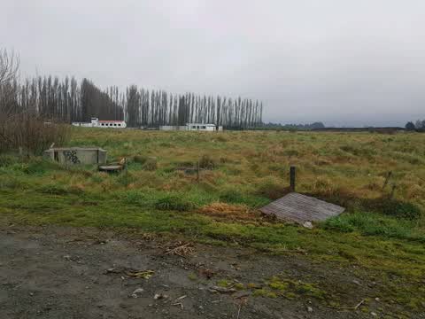 Rubbish/Recycling, a report photo