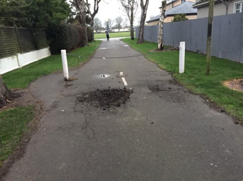 The photograph attached to this parks report