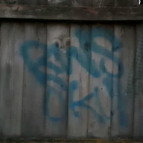 Graffiti, a report photo