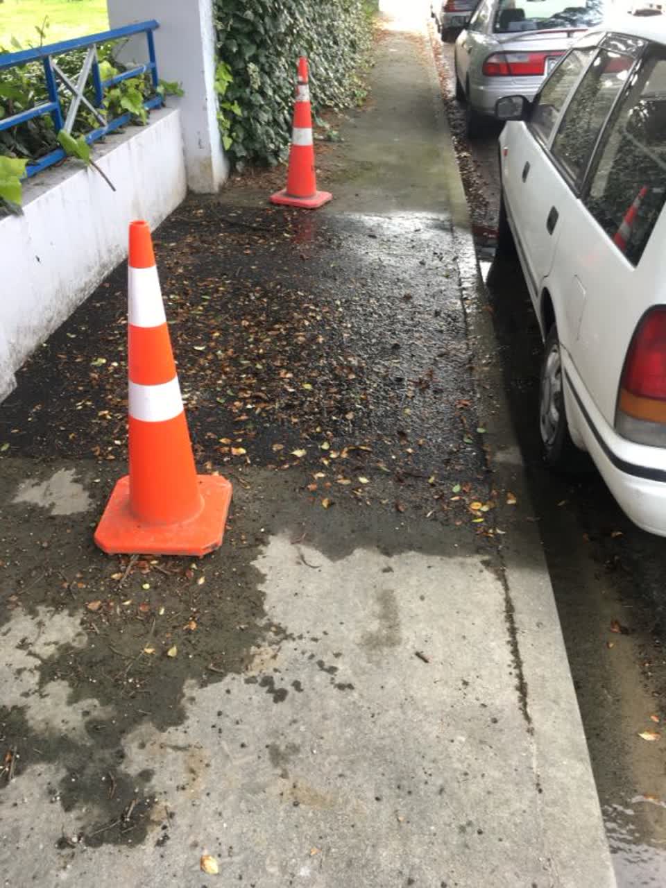 The photograph attached to this water supply report