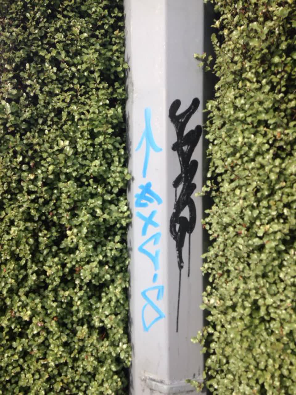 The photograph attached to this graffiti report
