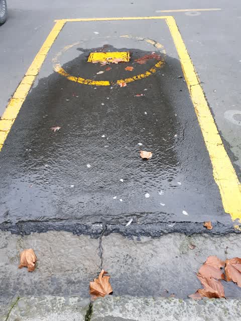 Wastewater/Stormwater — a report photo