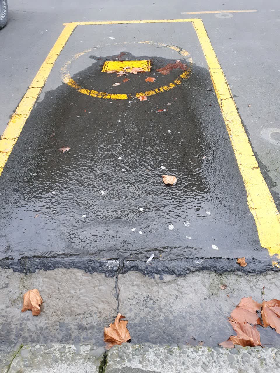 The photograph attached to this wastewater/stormwater report