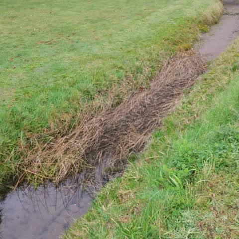 Wastewater/Stormwater, a report photo