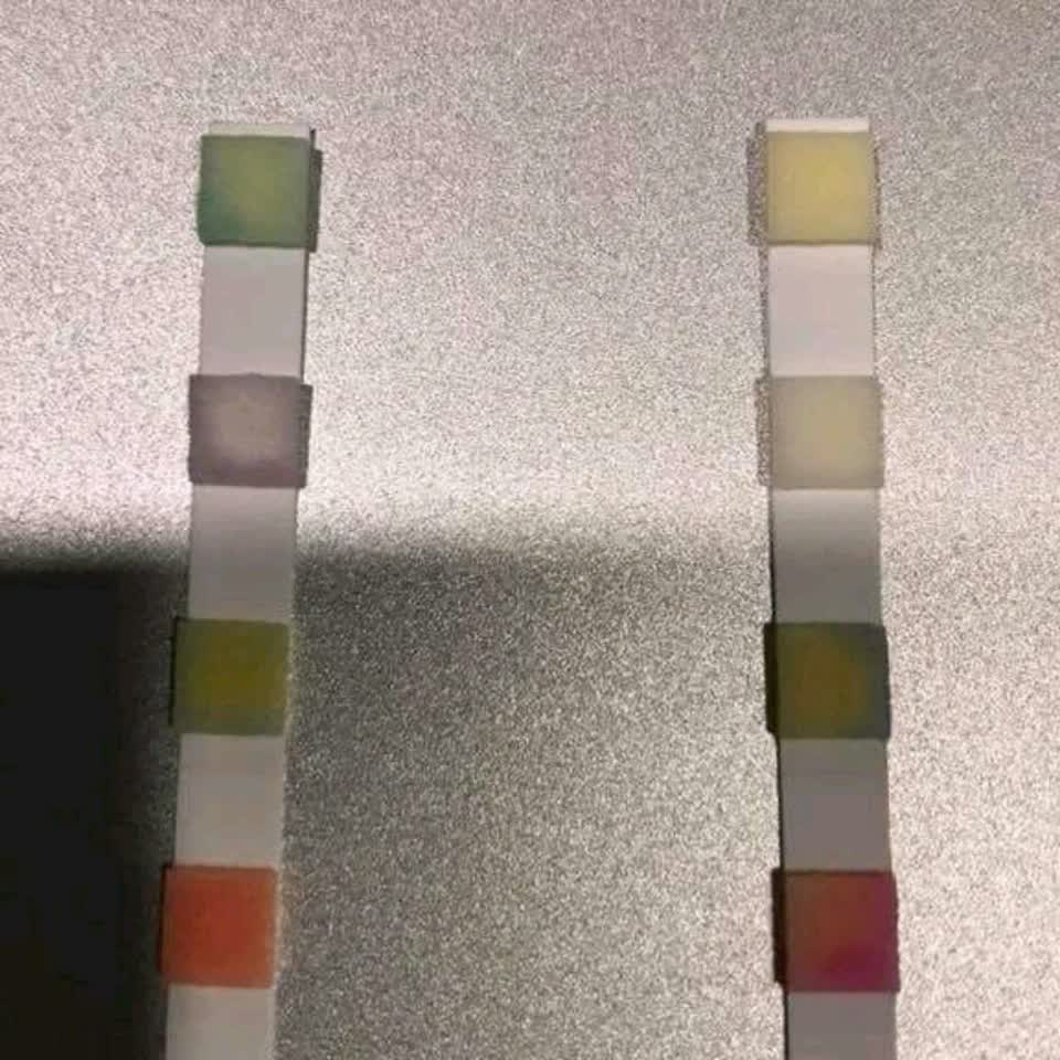 The photograph attached to this water supply report
