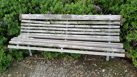 Parks, a report photo