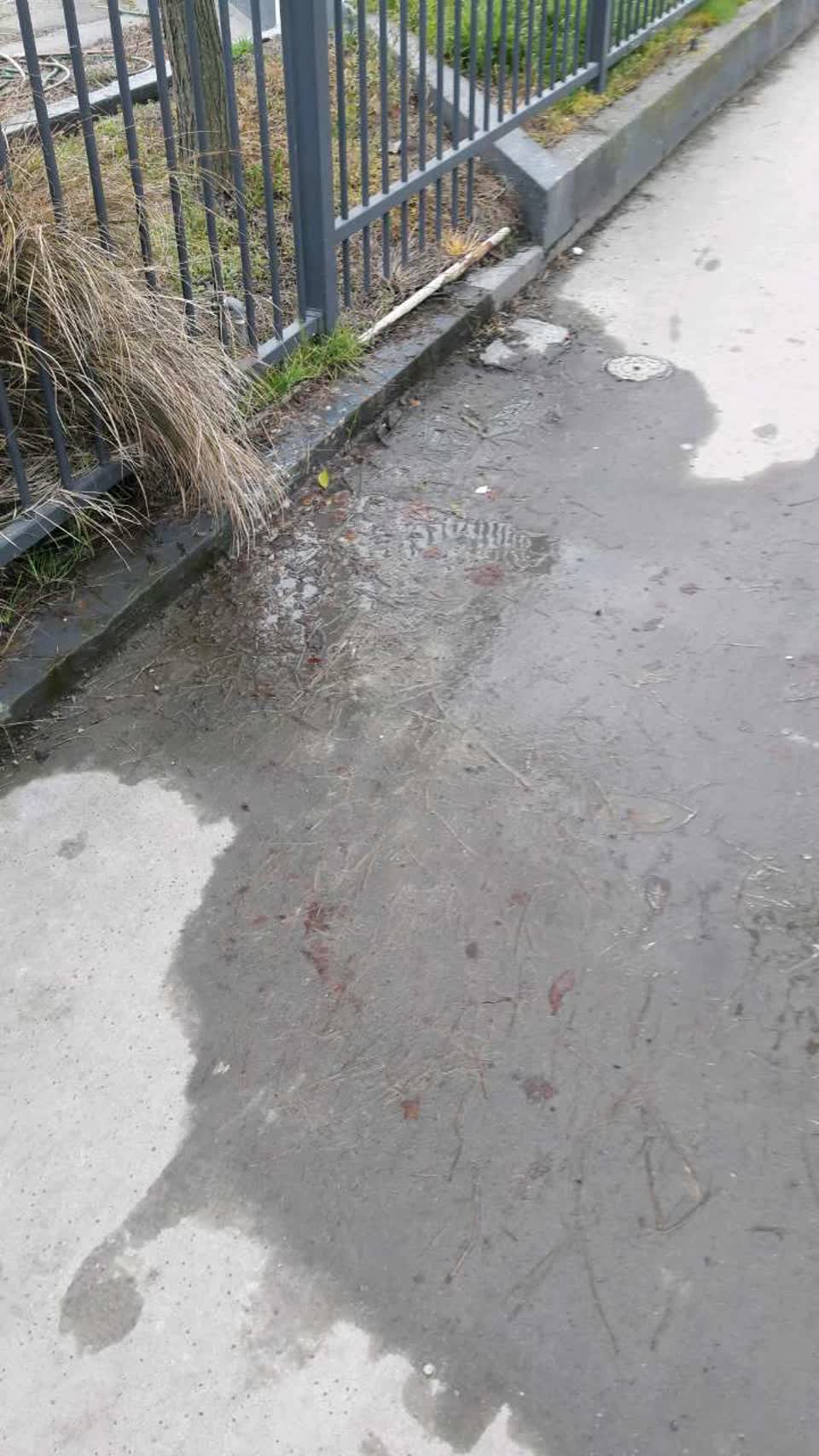 The photograph attached to this water supply report