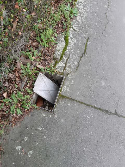Roading/Streets, a report photo
