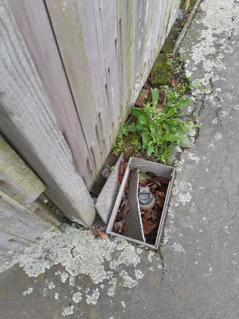 Roading/Streets, a report photo