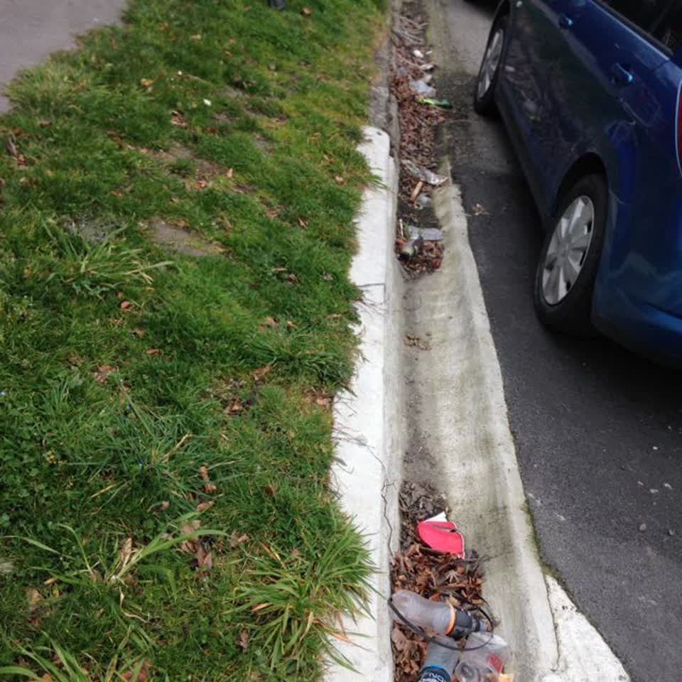 The photograph attached to this rubbish/recycling report
