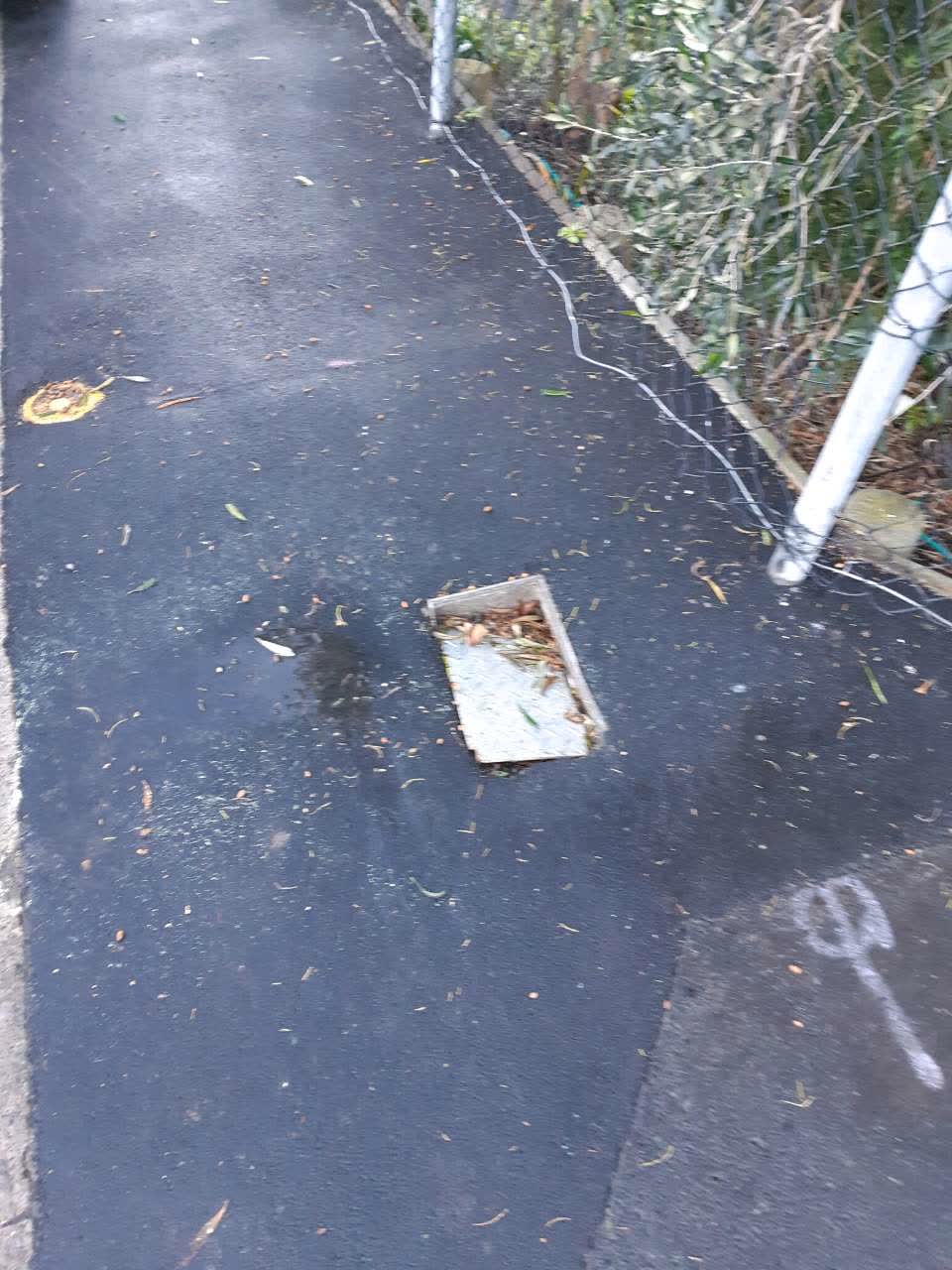 The photograph attached to this roading/streets report