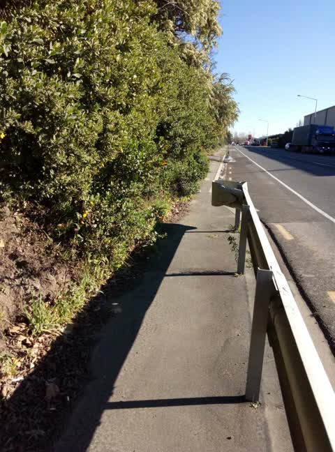 Roading/Streets, a report photo