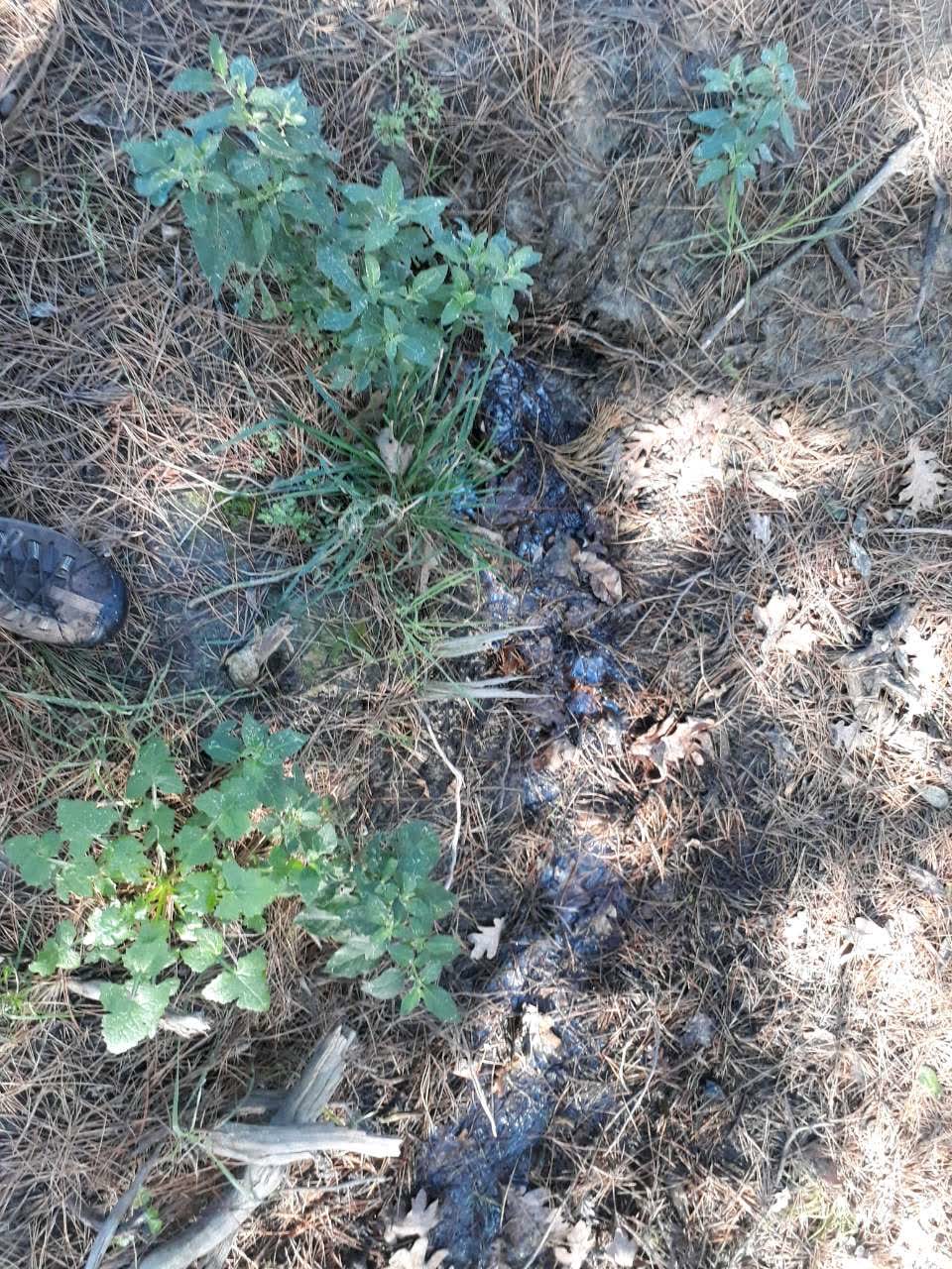 The photograph attached to this wastewater/stormwater report