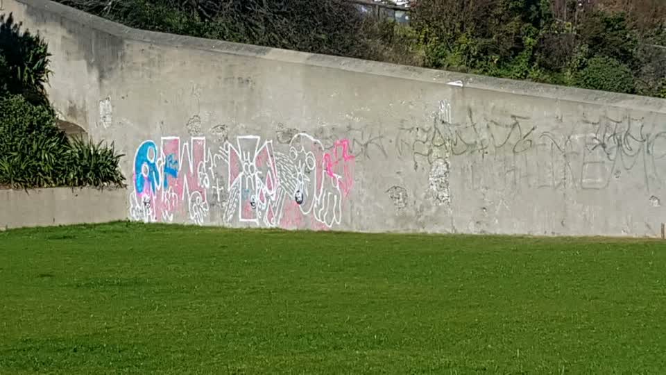 The photograph attached to this graffiti report