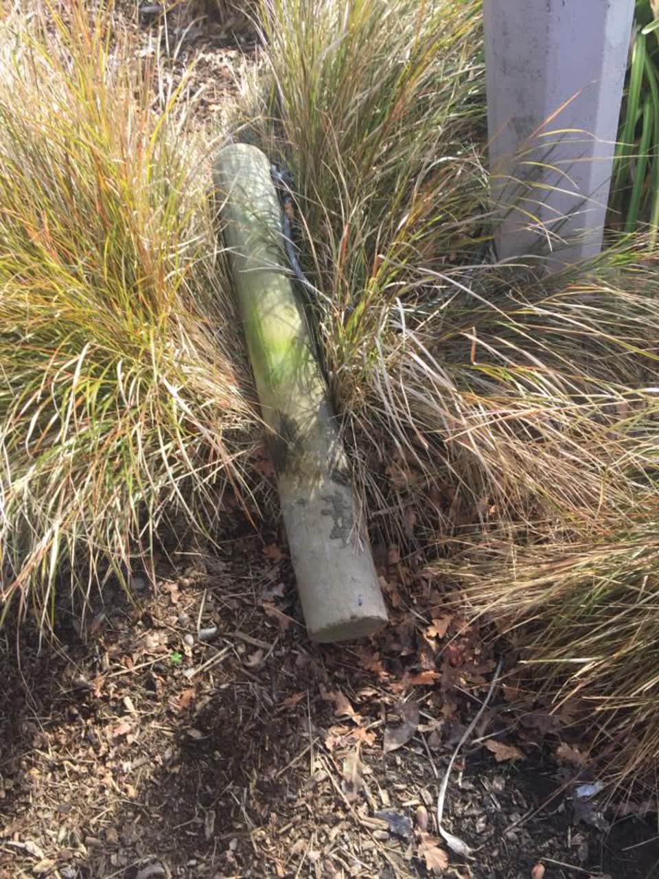 The photograph attached to this parks report