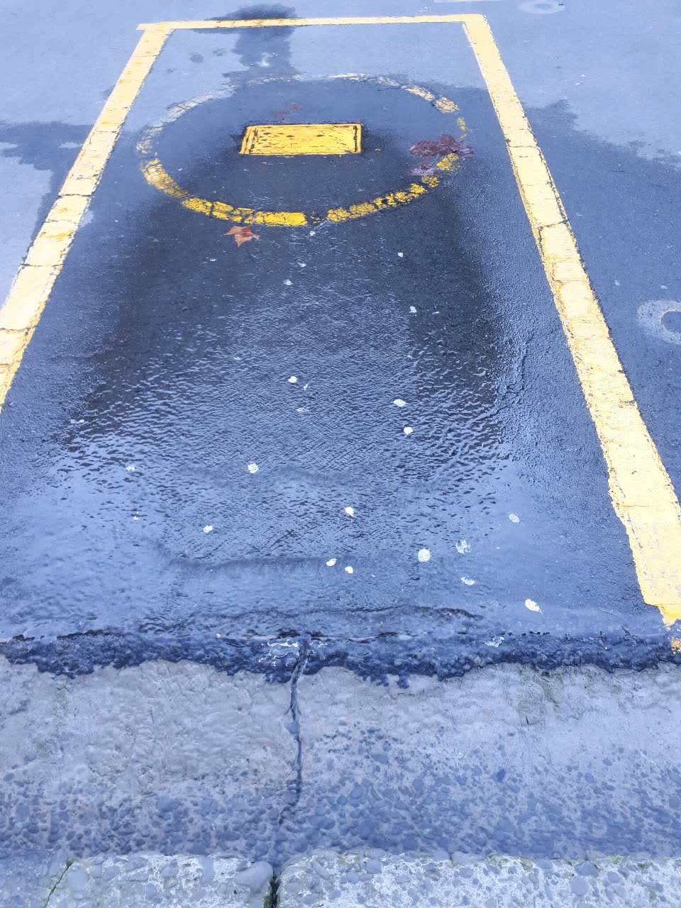 The photograph attached to this wastewater/stormwater report