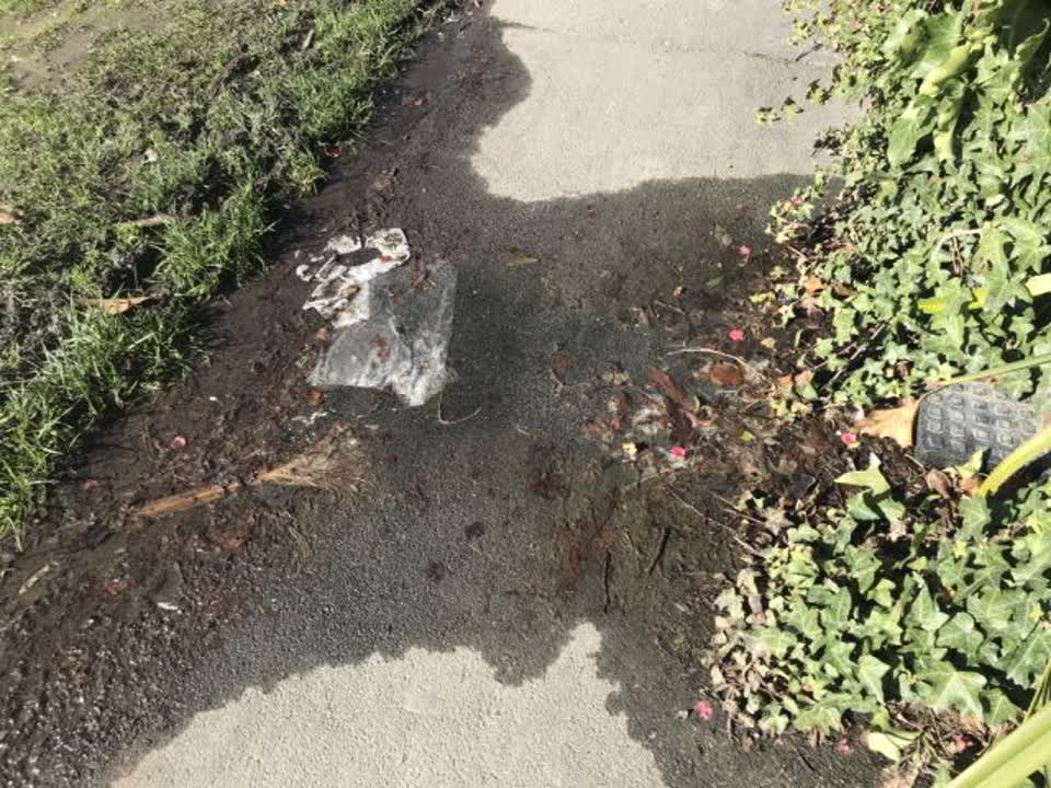 The photograph attached to this wastewater/stormwater report