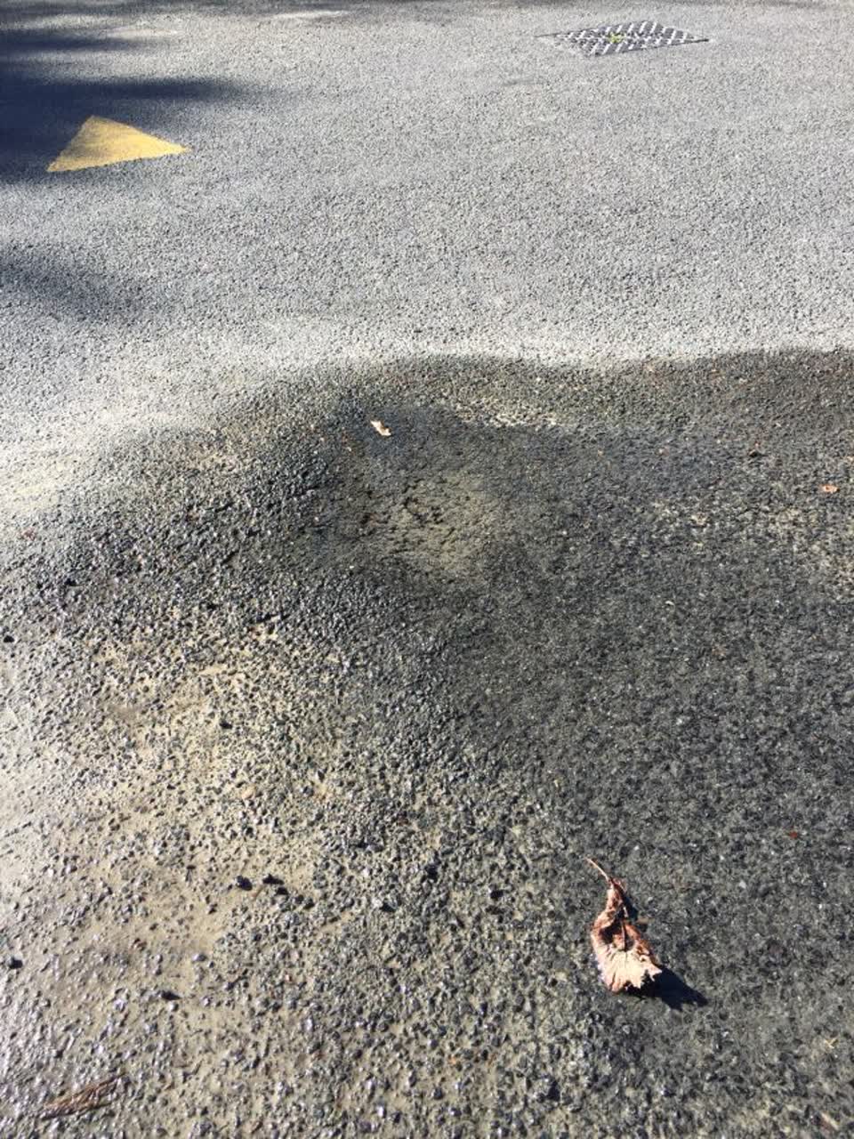 The photograph attached to this water supply report