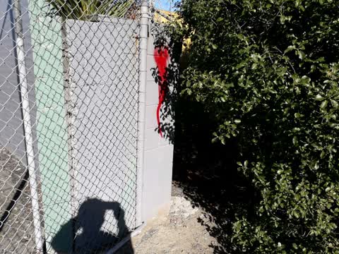 Graffiti — a report photo
