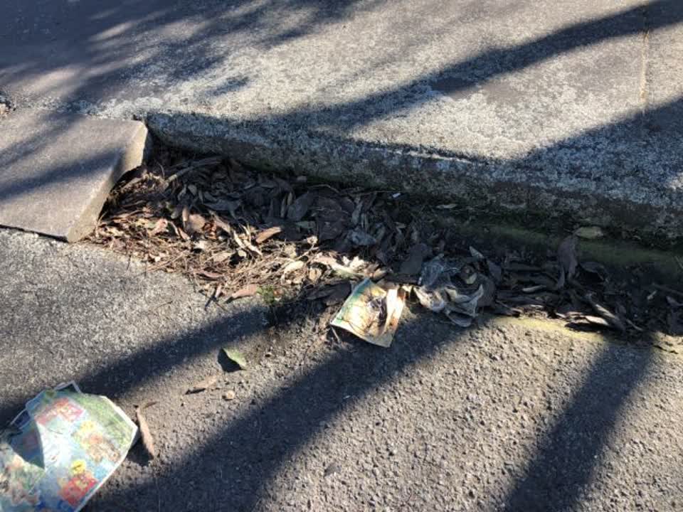 The photograph attached to this roading/streets report
