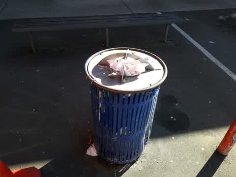Rubbish/Recycling, a report photo