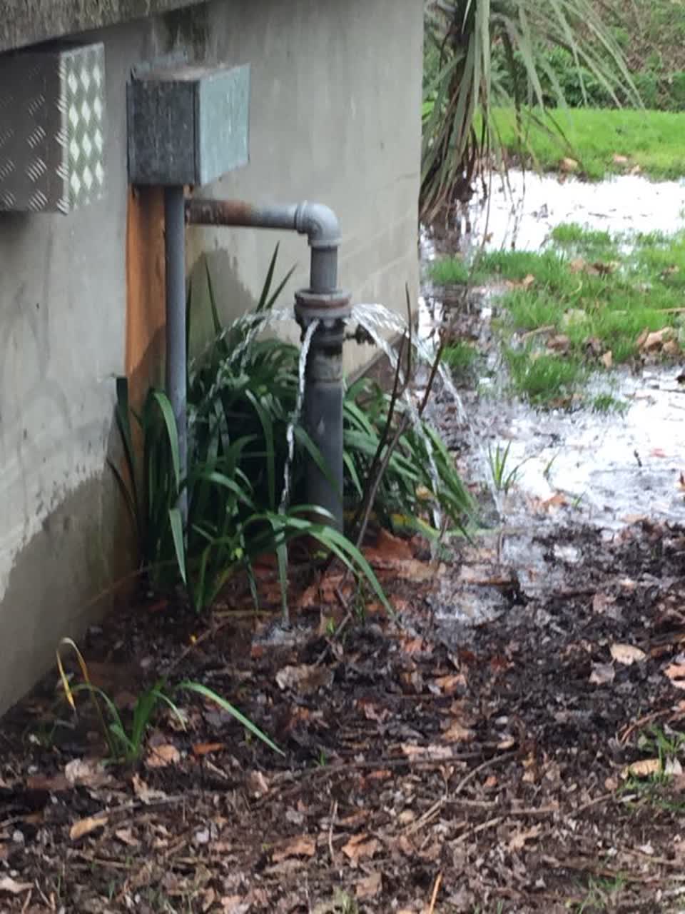 The photograph attached to this water supply report