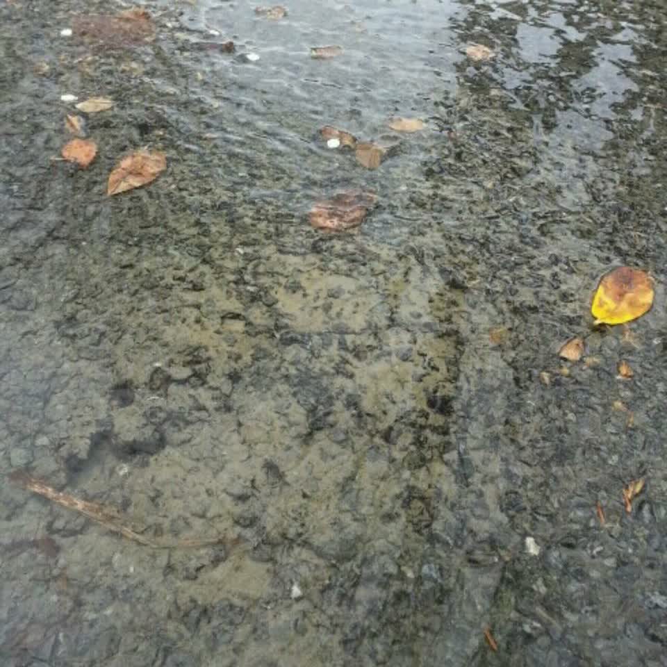 The photograph attached to this water supply report