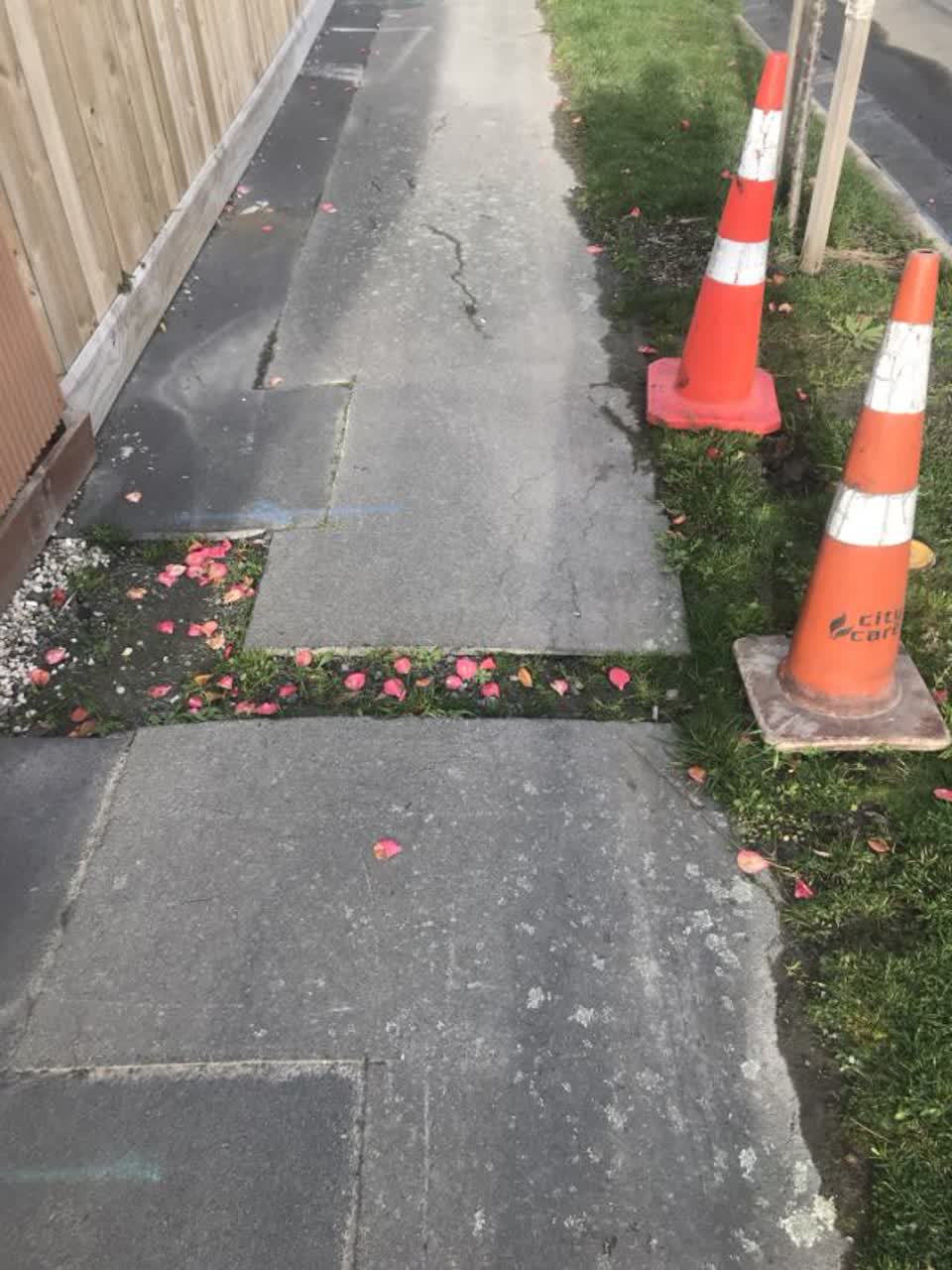The photograph attached to this roading/streets report