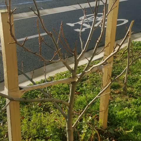 Roading/Streets, a report photo