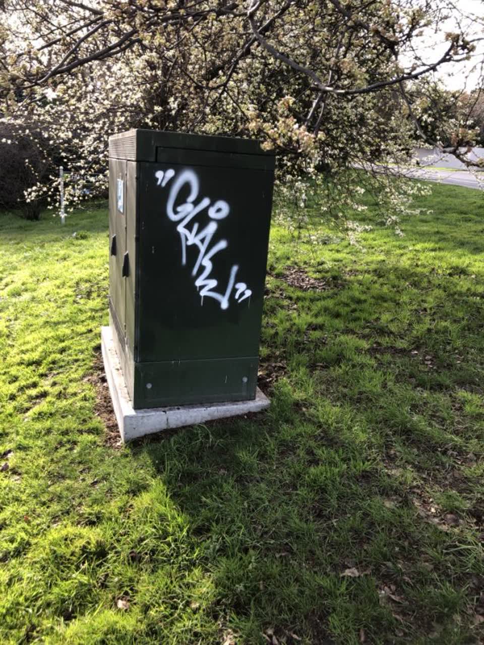 The photograph attached to this graffiti report