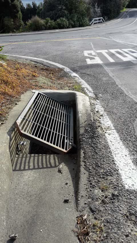 Roading/Streets, a report photo