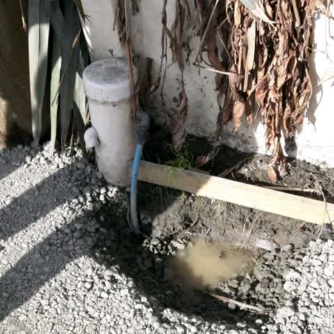 Water Supply, a report photo
