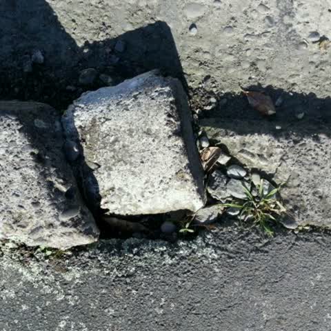 Roading/Streets, a report photo