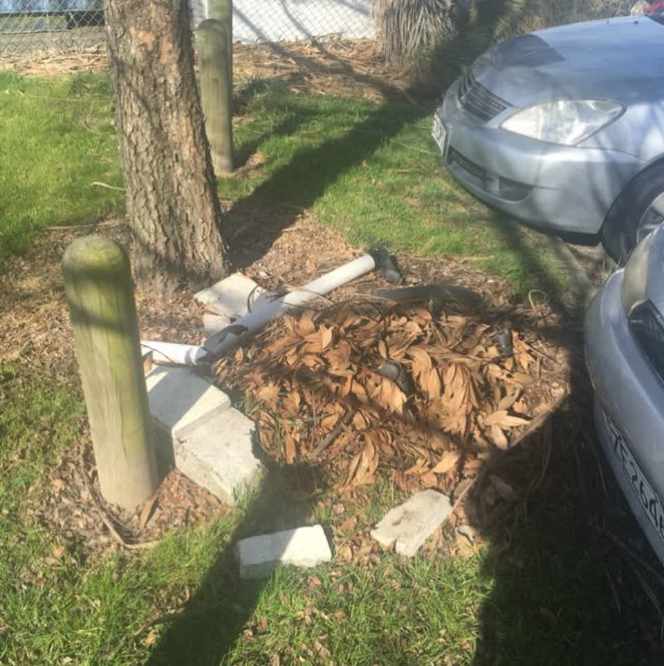The photograph attached to this parks report