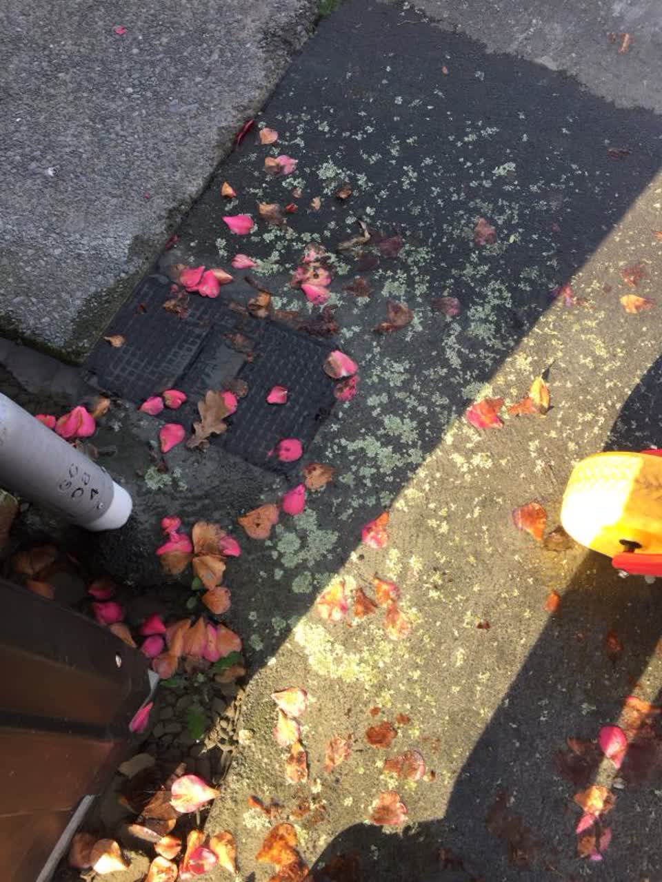 The photograph attached to this water supply report