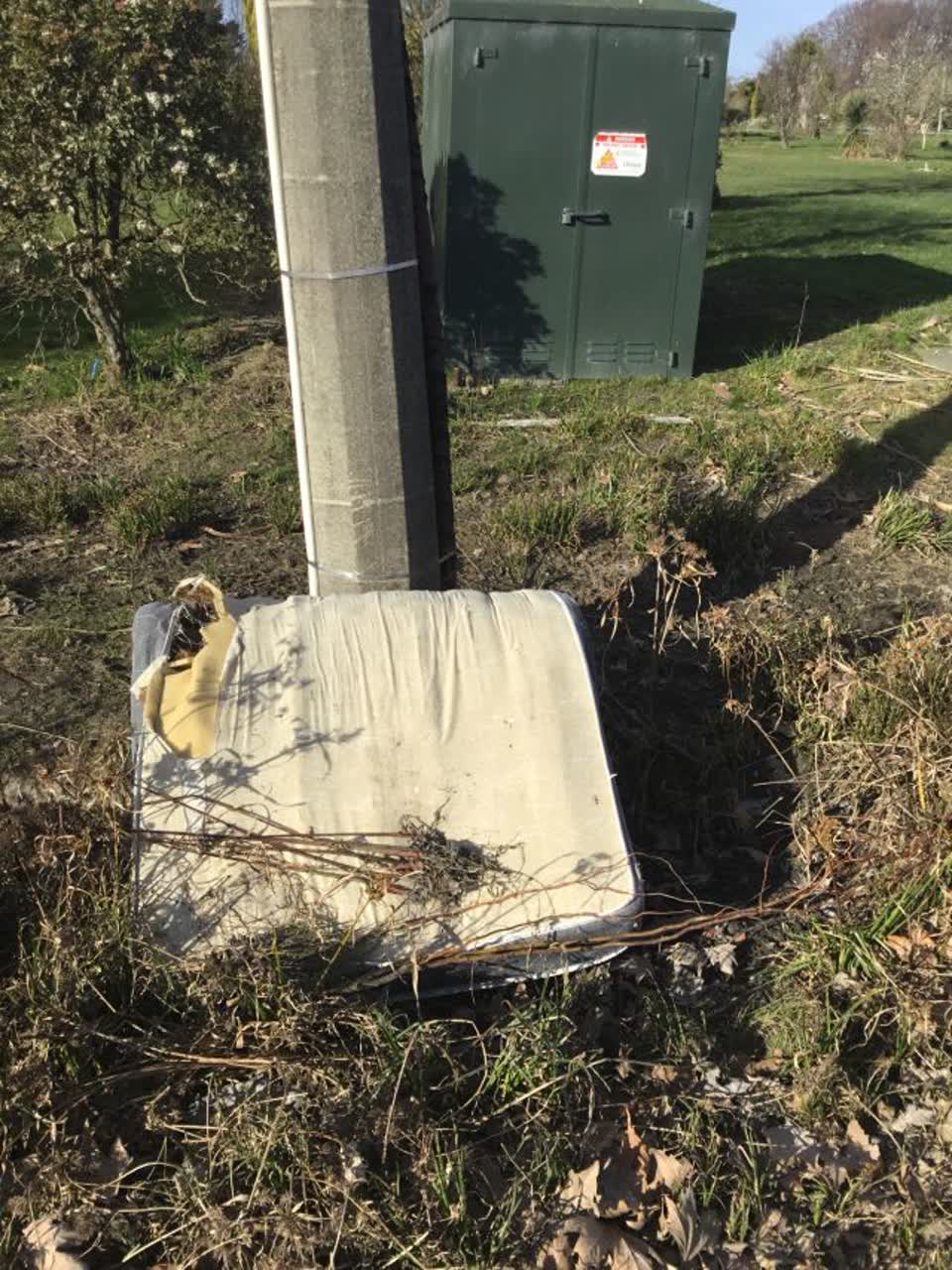 The photograph attached to this rubbish/recycling report