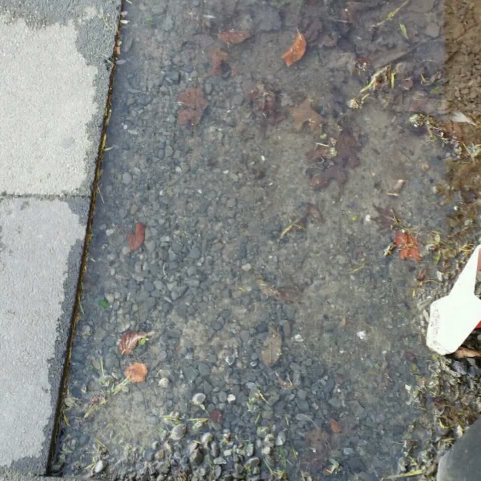 The photograph attached to this water supply report