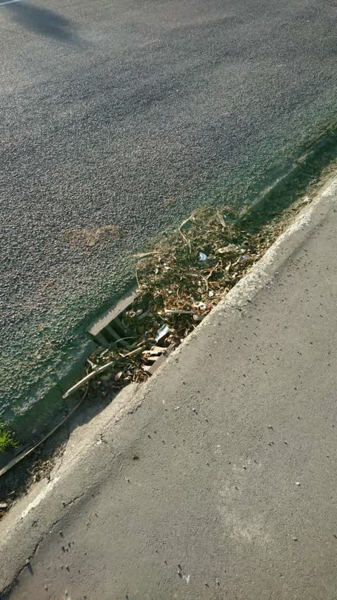 Roading/Streets, a report photo