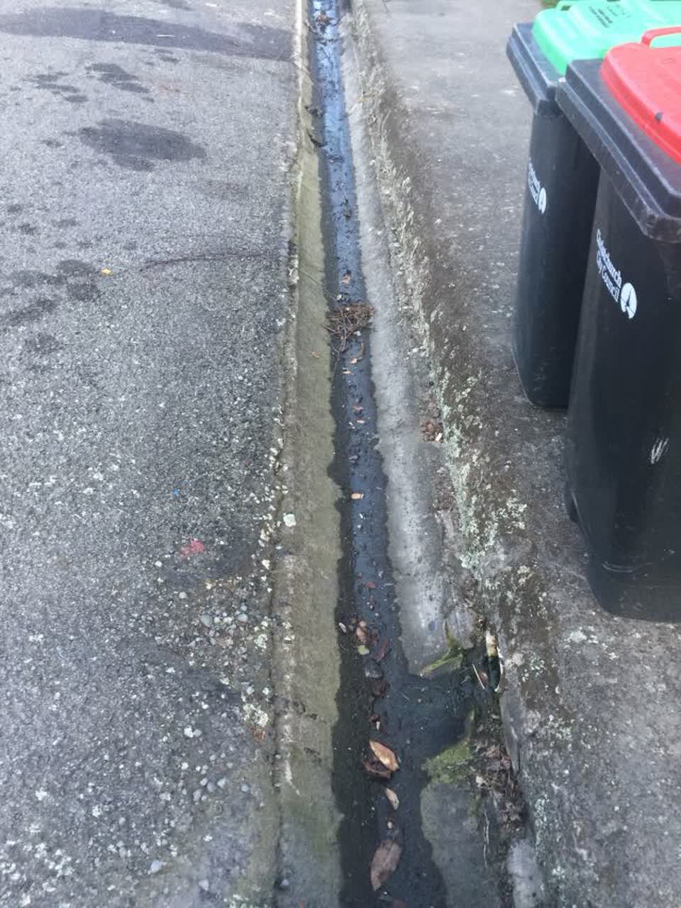 The photograph attached to this roading/streets report