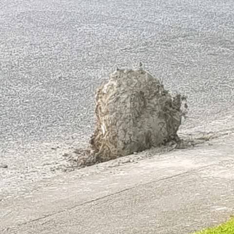 Rubbish/Recycling, a report photo