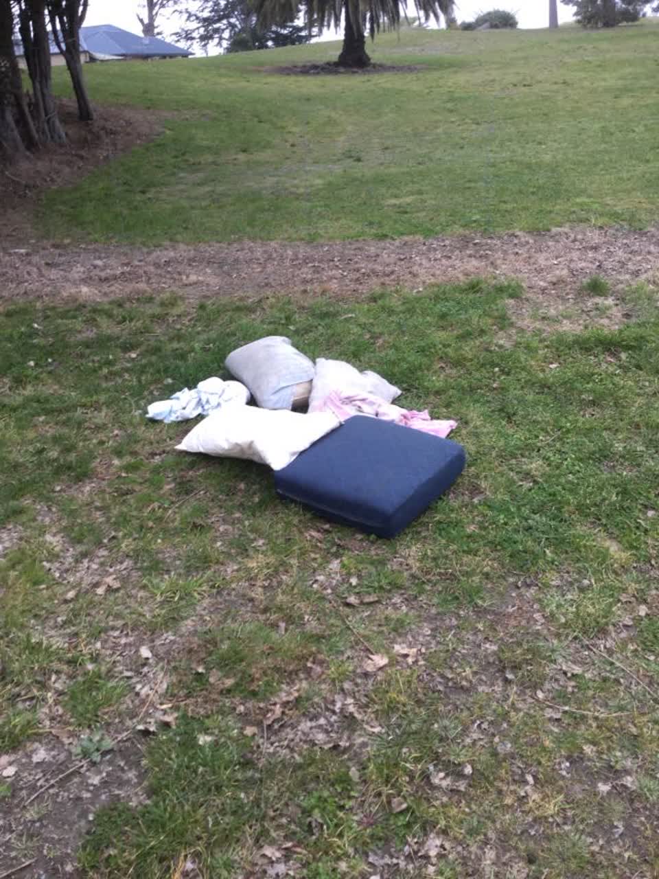The photograph attached to this rubbish/recycling report
