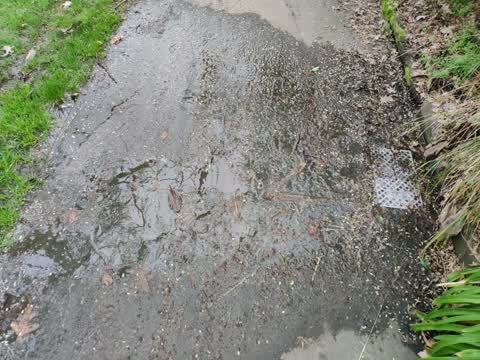 Water Supply, a report photo