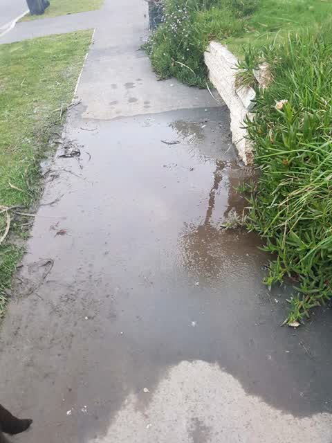 Roading/Streets, a report photo