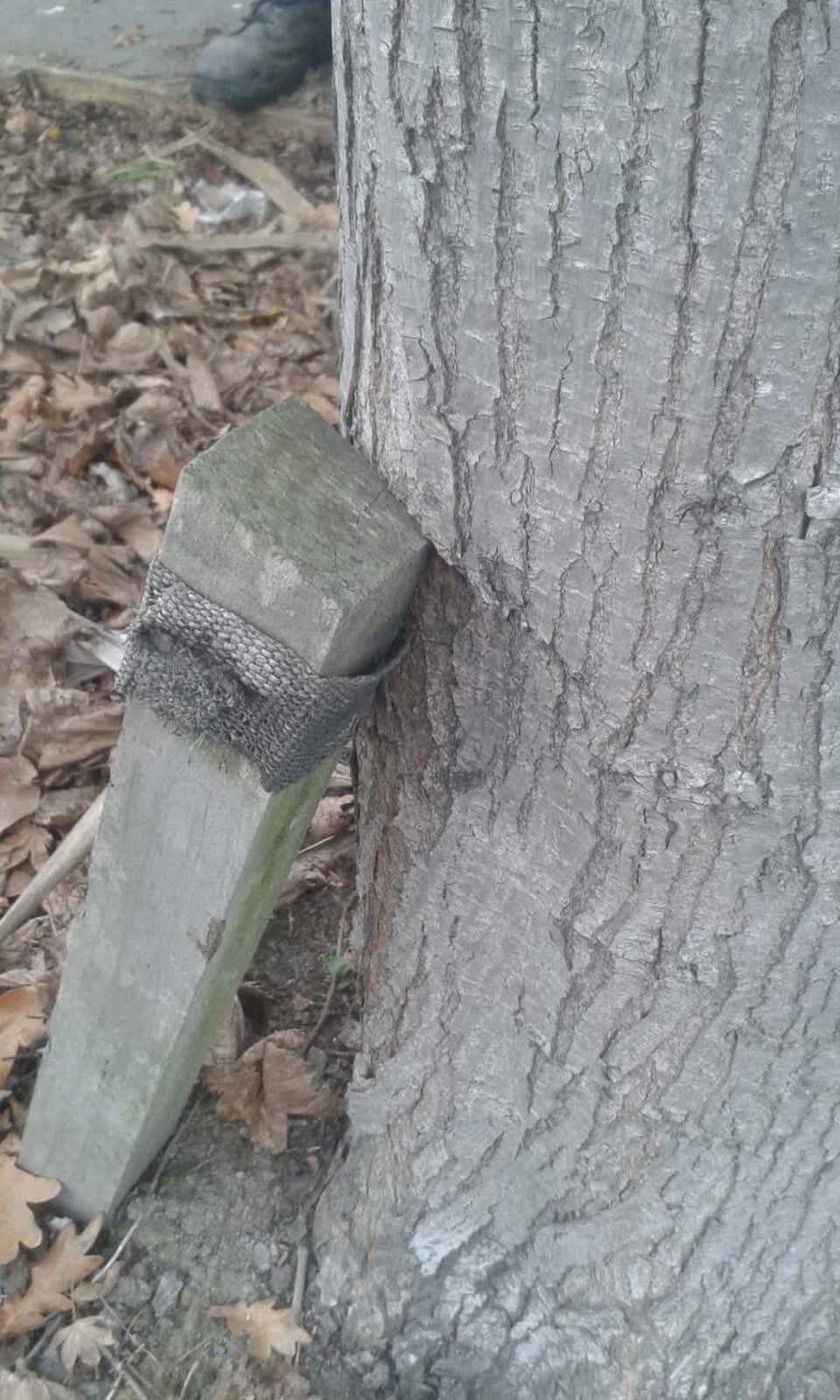 The photograph attached to this parks report