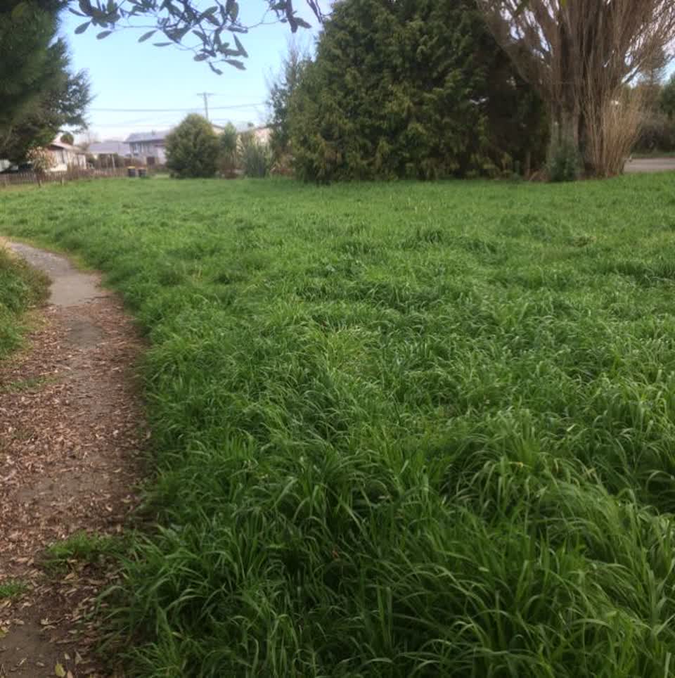 The photograph attached to this parks report