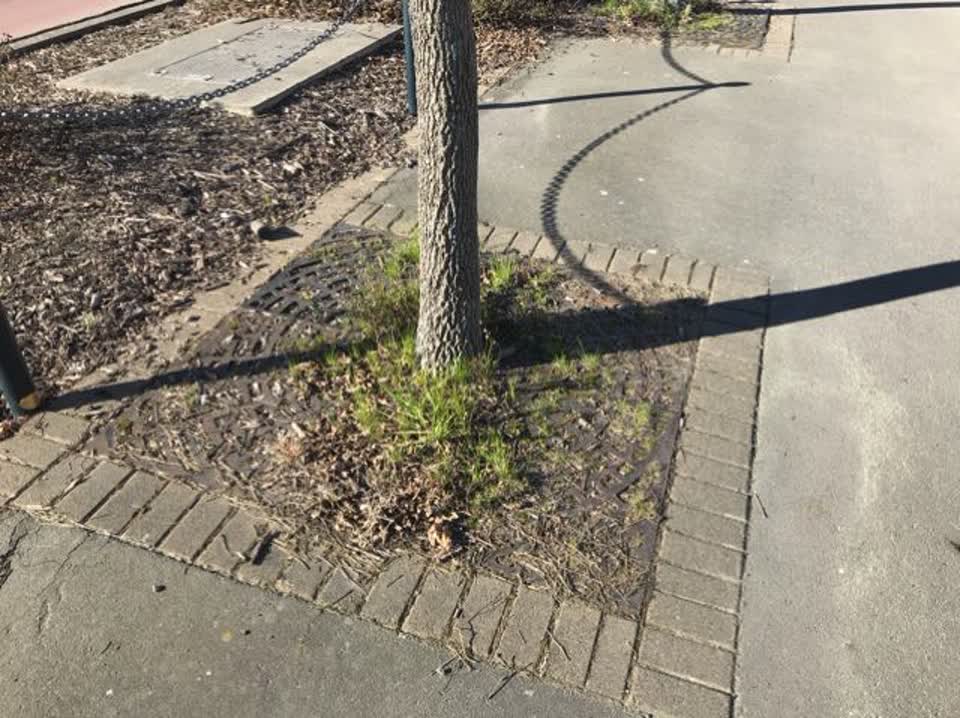 The photograph attached to this parks report