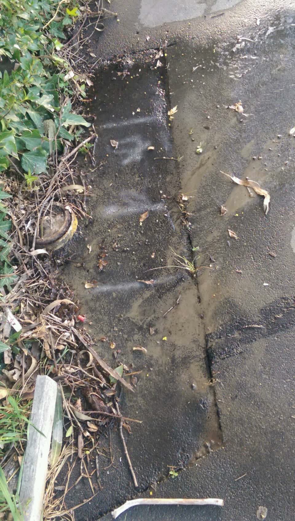 The photograph attached to this water supply report