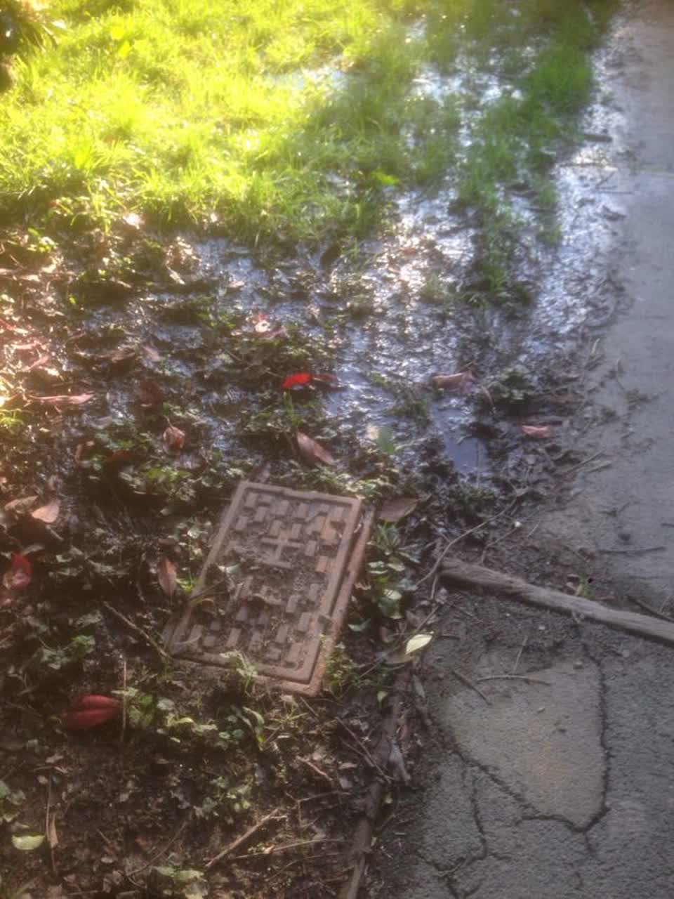 The photograph attached to this water supply report