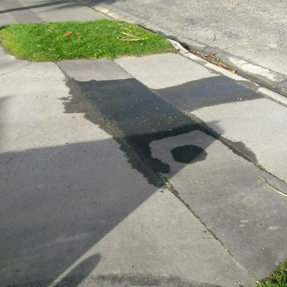 The photograph attached to this water supply report